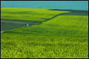 jour8dsc_5994_dxo_raw