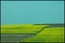 jour8dsc_5995_dxo_raw