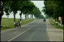 charrettedsc_6107_dxo_raw