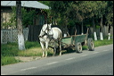 charrettedsc_6145_dxo_raw
