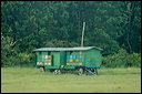 ruchersdsc_6137_dxo_raw