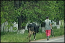 villagesdsc_6132_dxo_raw