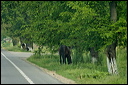 villagesdsc_6138_dxo_raw