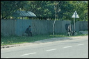 villagesdsc_6163_dxo_raw