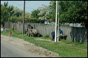 villagesdsc_6164_dxo_raw