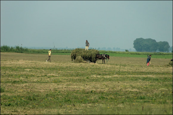 charrettedsc_6140_dxo_raw.jpg