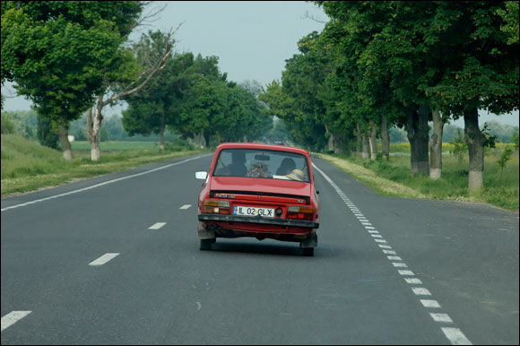 r12dsc_6121_dxo_raw.jpg